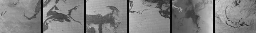 Six SAR patches from the dataset’s page — dark streaks are oil on the sea surface